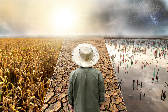 Agriculture threatened by extreme weather and climate change impacts.
