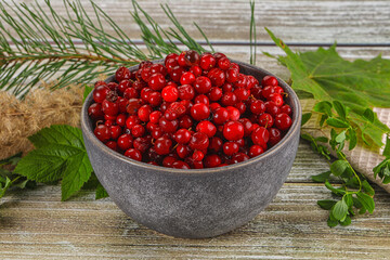 Natural organic wild forwst lingonberry