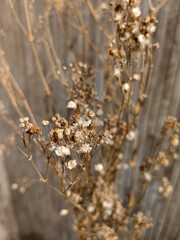 Art decorative objects for the home detail shot.