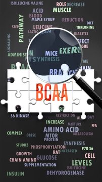 Bcaa under magnifying glass, being researched, studied and examined. Most important subjects and ideas closely related to bcaa written around a puzzle to symbolize complexity of bcaa.