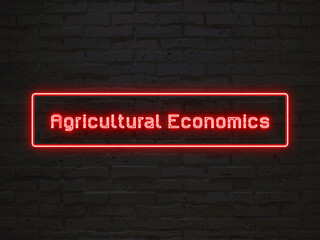 Agricultural Economics のネオン文字