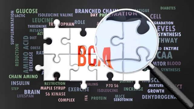 Bcaa under magnifying glass, being researched, studied and examined. Most important subjects and ideas closely related to bcaa written around a puzzle.Can be looped.