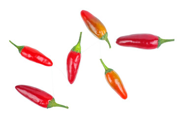 Few red chili peppers isolated on a white background.Top view