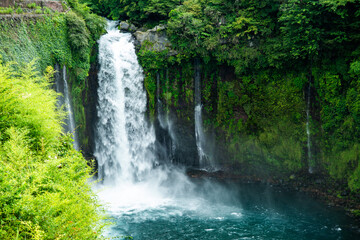 Obraz premium Shiraito Falls, Shiraito no Taki, in Fujinomiya, Shizuoka, Japan