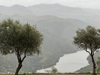 A mesmerizing panoramic view from atop the Douro Valley, capturing the winding Douro River below...