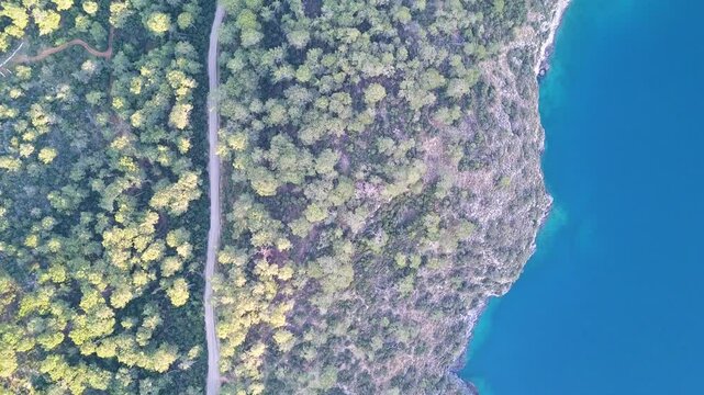 Drone view of a beautiful forest road next to the seashore in Fethiye Oludeniz Turkey