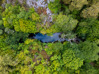 A mesmerizing aerial drone view flying above a dense green forest with rocky cliffs and a hidden river in Strandzha National Park, Bulgaria, capturing the untouched beauty of nature