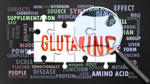 Glutamine under magnifying glass, being researched, studied and examined. Most important subjects and ideas closely related to glutamine written around a puzzle.Can be looped.