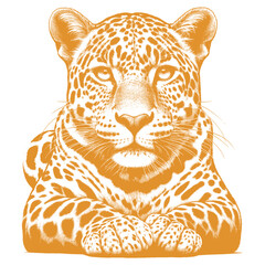 leopard vector