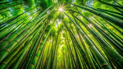 Fototapeta premium Experience the lush bamboo forest in Maui, Hawaii, where vibrant greenery envelops you, creating a serene atmosphere that showcases natureâ€™s tranquil beauty and charm.