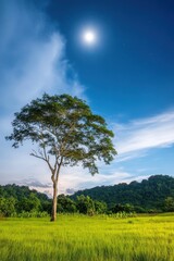Obraz premium A solitary tree stands gracefully under a glowing moon in a lush green field at dusk