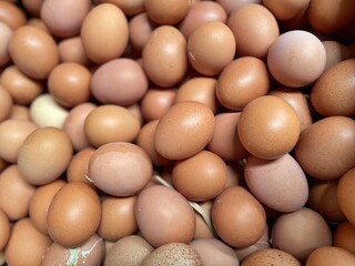 pile of eggs
