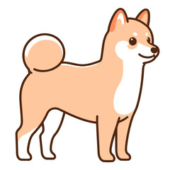Shiba vector and illustration.