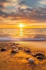 Obraz premium Golden sunset illuminating a tranquil beach with seashells along the sandy shore