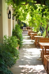 Naklejka premium A tranquil garden pathway lined with wooden tables amidst lush greenery in warm sunlight