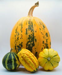Different varieties of pumpkins on a white background
