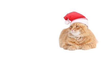 Cat wearing Santa Claus Xmas red cap looks away. Pet. Xmas. Merry Christmas. Fat cute fluffy red Cat with Santa hat waiting for Christmas while. Happy New Year. Beautiful Winter Holiday postcard
