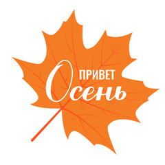 Hello Autumn calligraphy lettering in Russian. Inspirational autumn quote Cyrillic inscription. Vector template for typography poster, banner, shirt design, mug, etc.