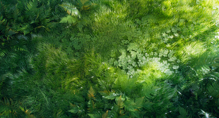 A 3D rendering of fresh grass, clover, and ferns illuminated by soft side lighting, creating a vibrant, eco-friendly atmosphere of natural beauty and sustainability.