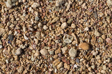 The coastline of the Red Sea. Sand, pebbles, corals, fossils. Background with a marine theme.