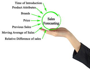 Fototapeta premium Sources of Information for Sales Forecasting