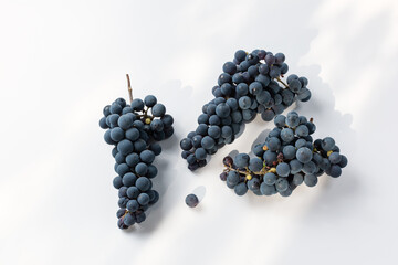 Ripe grape bunches on white background. Blue grape branches isolated on a white background in sunlight