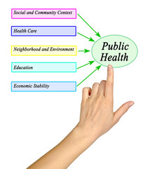 Five Drivers of Public Health