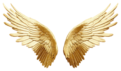 PNG Wings gold pattern yellow.