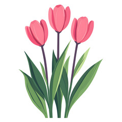 Obraz premium Pink Tulip Flower Vector Illustration on White Background Design