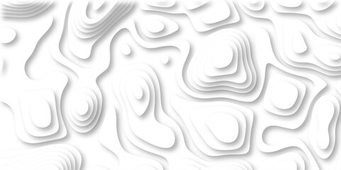 paper cut 3d render topography abstract, beautiful white Background. geometric map relief texture with curved layers and shadow. Realistic papercut decoration textured with wavy vector design.