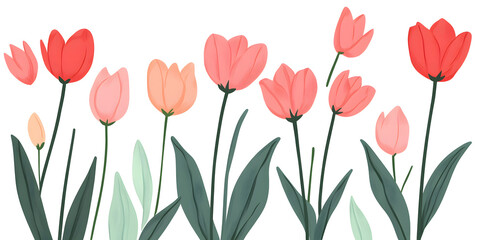 Obraz premium Colorful Tulips Vector Illustration on White Background Design