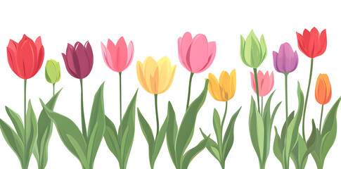 Colorful Tulips Vector Illustration on White Background Design