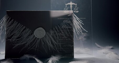 An exquisite wedding invitation enclosed in a sophisticated envelope adorned with delicate feathers. The invitation card displays intricate design elements, creating an atmosphere of elegance grace.