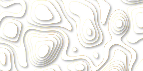 paper cut 3d render topography abstract, beautiful white Background. geometric map relief texture with curved layers and shadow. Realistic papercut decoration textured with wavy vector design.