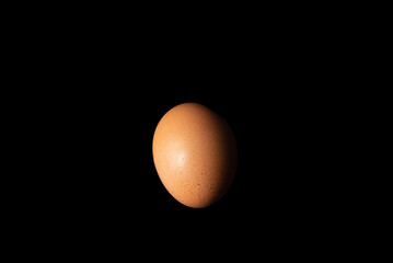 Chicken egg on black background