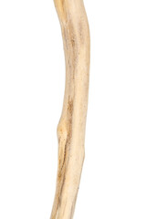 Part of driftwood isolated on white background.