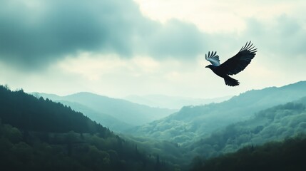 Fototapeta premium Minimalist Landscape with Bird Soaring in the Sky