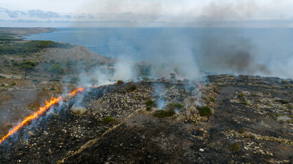 Aerial view of a fire in a countryside near the sea in Puglia, Italy.