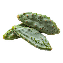 Fresh Green Nopal Cactus Leaves Isolated on Transparent Background