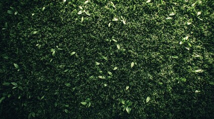 Vivid Green Motion Blur Background