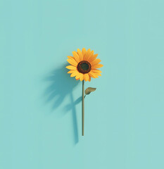 Vibrant Sunflower Against Aqua Blue, A Minimalist Nature Contrast
