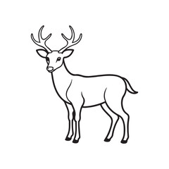 Deer line art vector style illustration