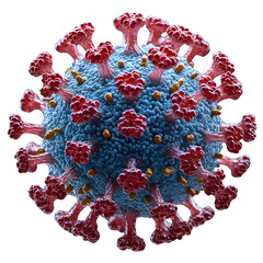 Microscopic view of the virus.