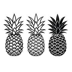 Fototapeta premium three Pineapple vector illustration, outline, silhouette, isolated on white background 
