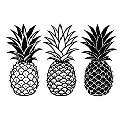 Obraz premium three Pineapple vector illustration, outline, silhouette, isolated on white background 