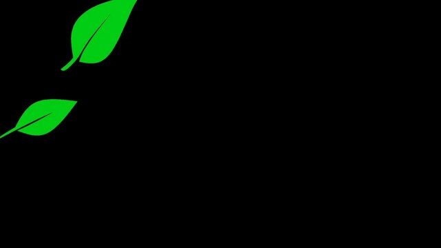 animated illustration of green leaves falling on a black screen