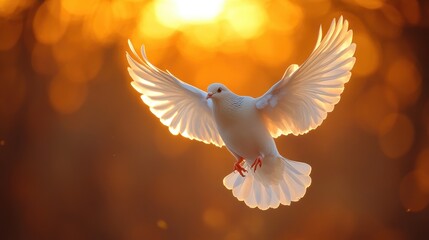 Obraz premium Photo of a dove flying against the sky, feeling of peace and hope 