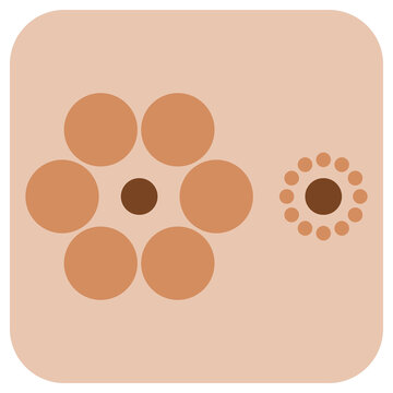 Ebbinghaus illusion. Transparent PNG of Vector graphic optical illusion. The two dark brown circles are exactly the same size but the right one looks bigger