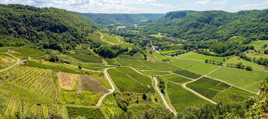 Vineyards in the Seille valley around the village of Chateau Chalon, in the French Jura, known for...