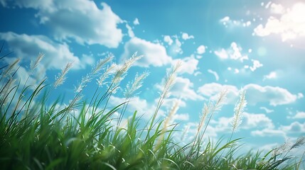 Fototapeta premium Beautiful Blue Skies with Nature, Bright Moon ,Cloud ,Beach scenery, Tree, night -Anime concept Background